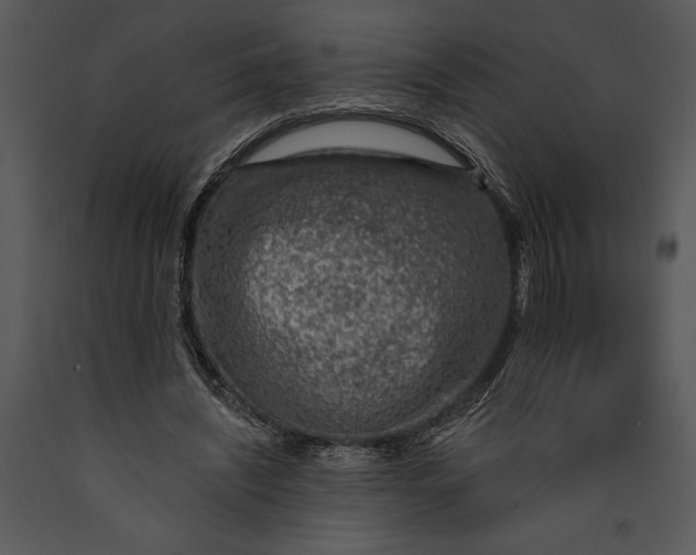 X0000089660444200707191652