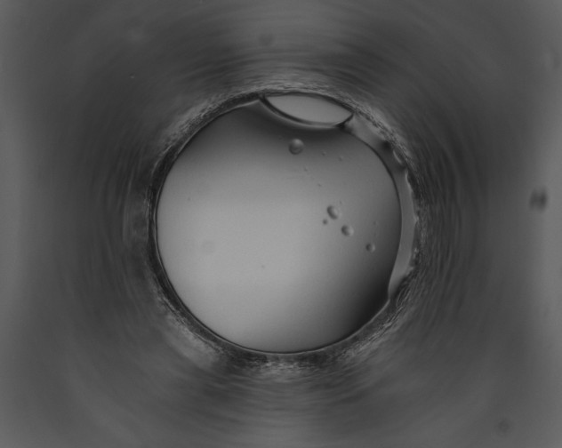 X0000089660445200707191652