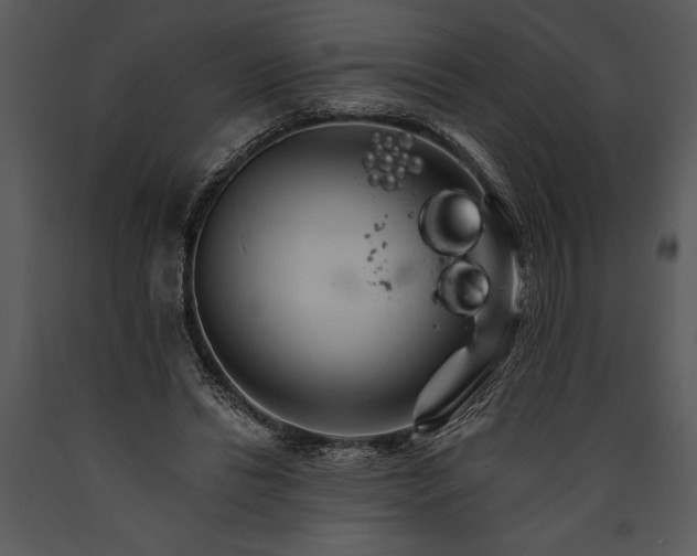 X0000089660446200707191652