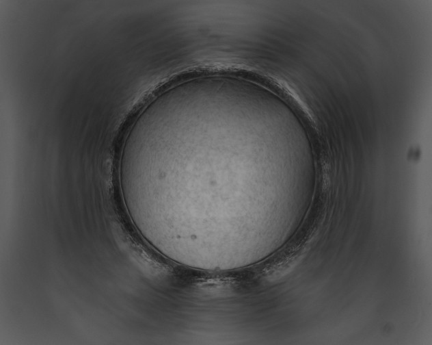 X0000089660447200707191652