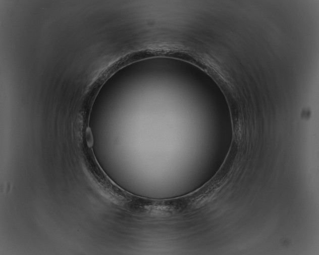 X0000089660448200707191652