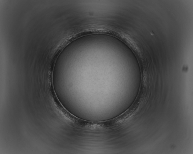 X0000089660449200707191652