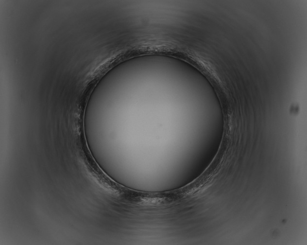X0000089660450200707191652