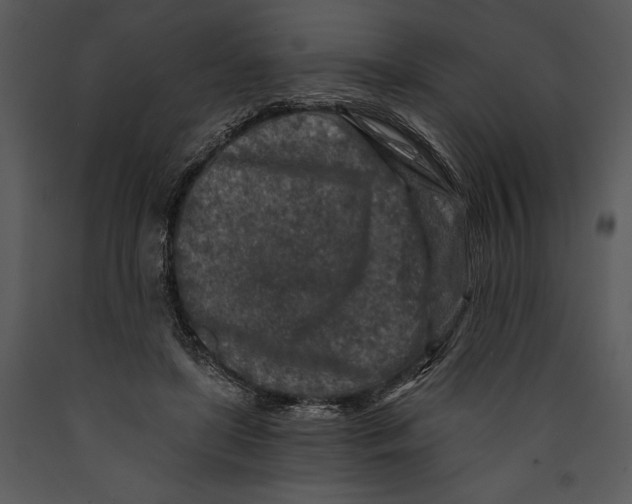 X0000089660451200707191652