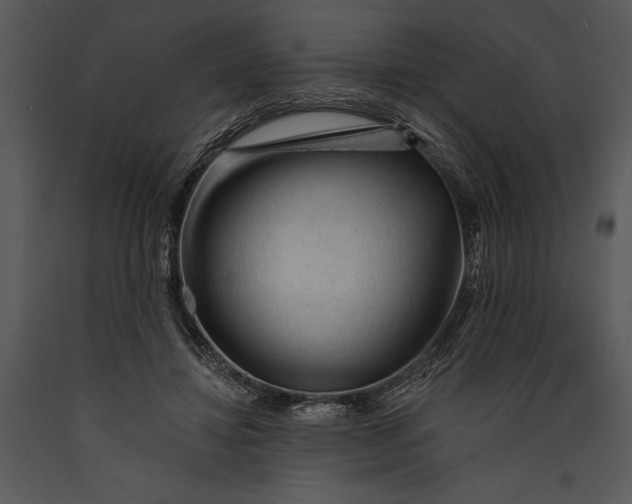 X0000089660452200707191652