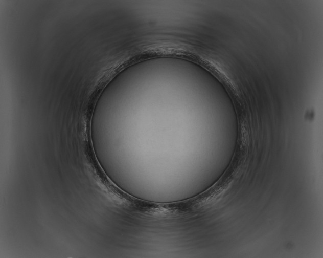 X0000089660453200707191652