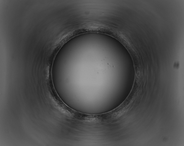 X0000089660454200707191652