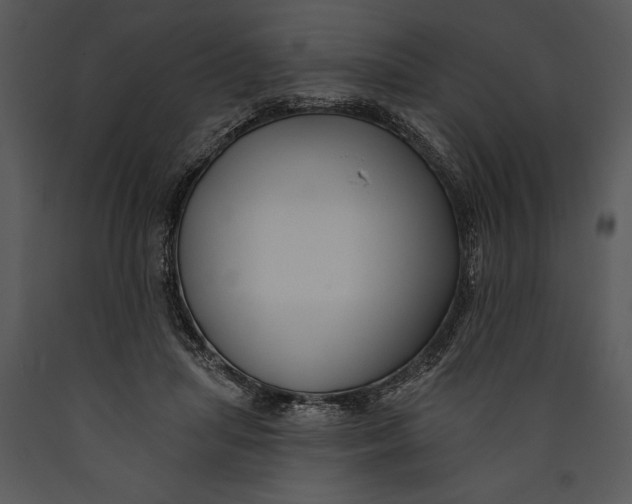 X0000089660455200707191652