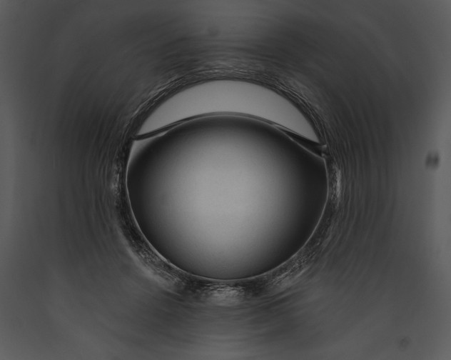 X0000089660456200707191652