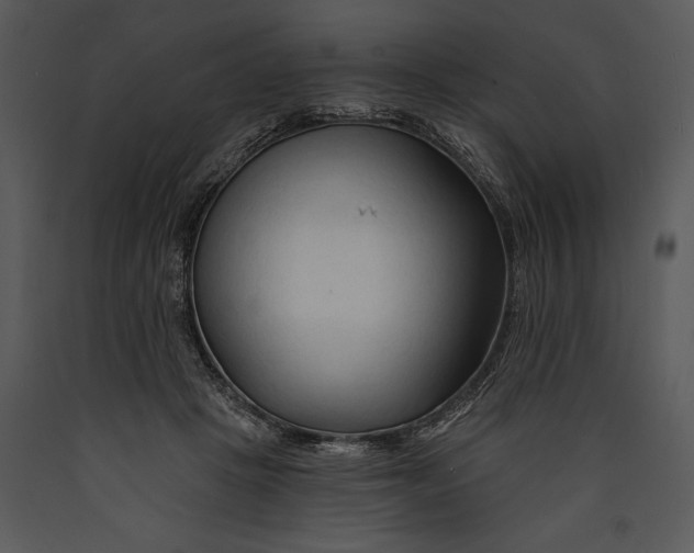 X0000089660457200707191652