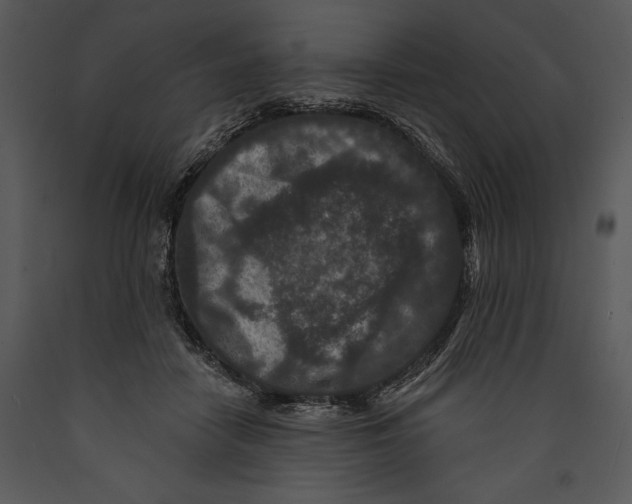 X0000089660458200707191652