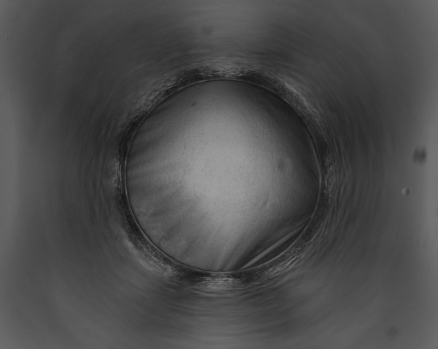 X0000089660459200707191652