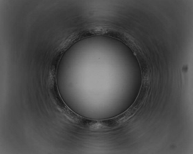 X0000089660460200707191652