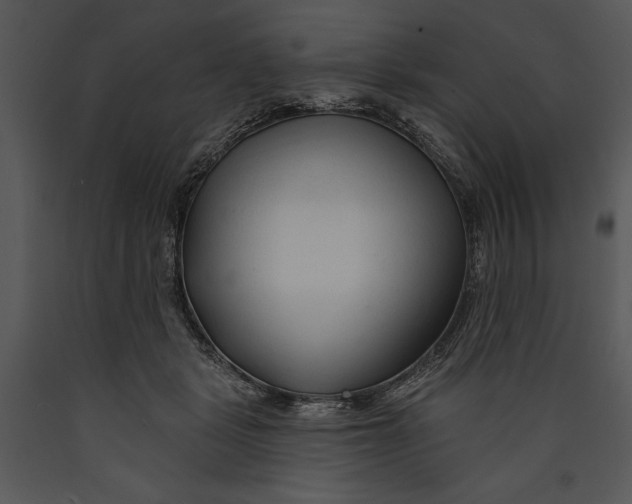 X0000089660461200707191652