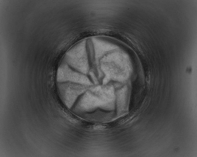 X0000089660462200707191652