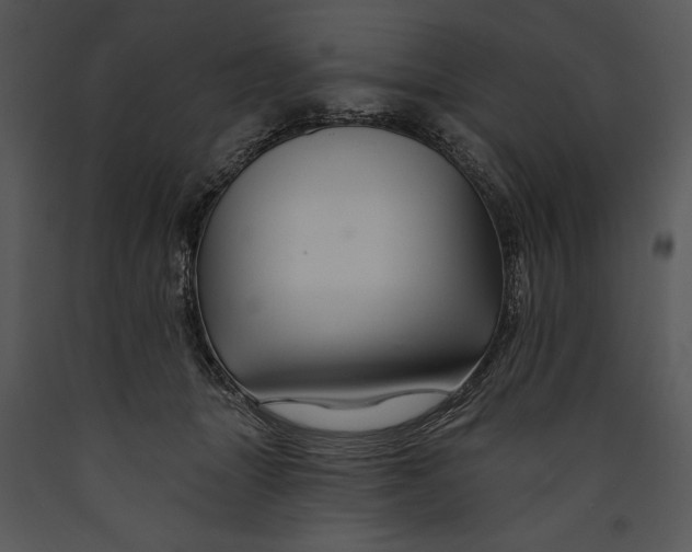 X0000089660463200707191652