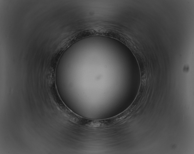 X0000089660464200707191652