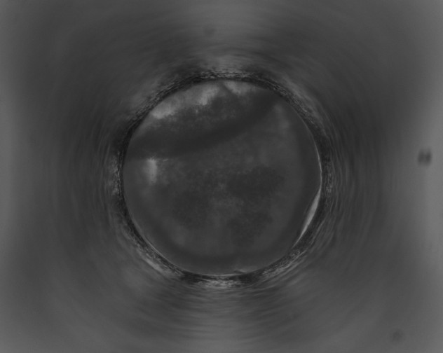 X0000089660465200707191652