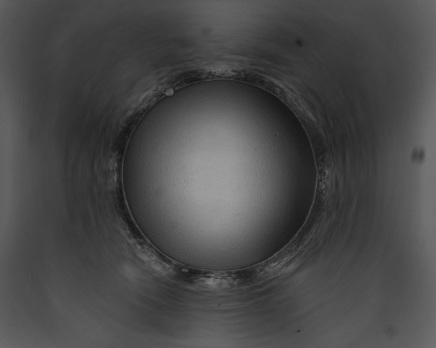 X0000089660466200707191652