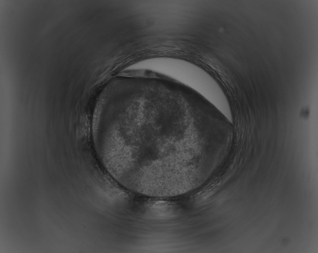 X0000089660467200707191652