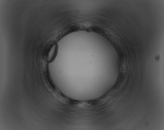 X0000089660468200707191652