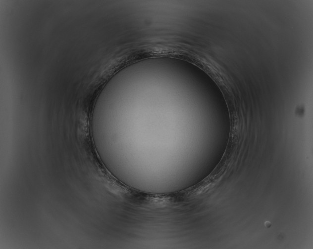 X0000089660469200707191652
