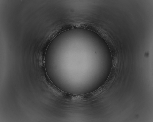 X0000089660470200707191653