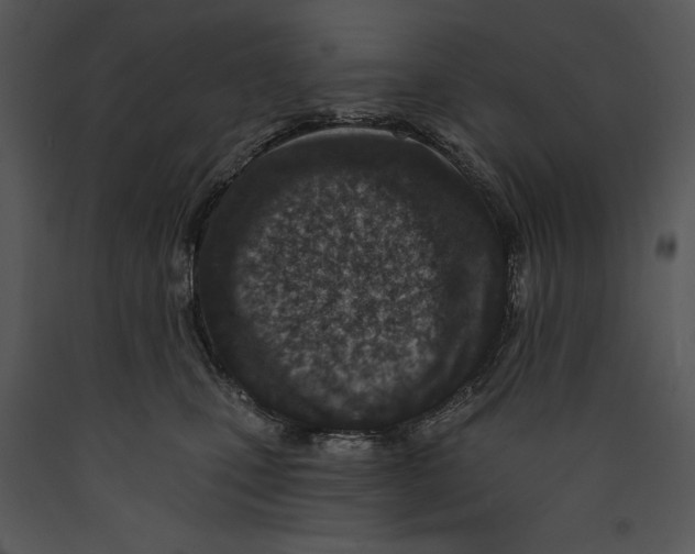 X0000089660471200707191653