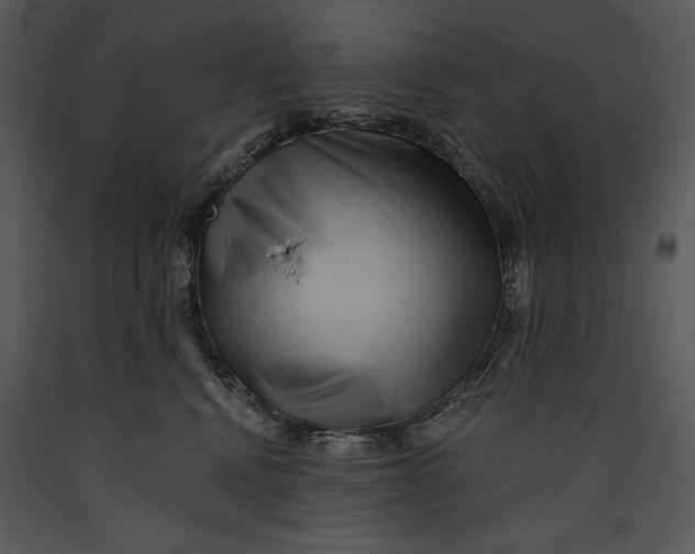 X0000089660472200707191653