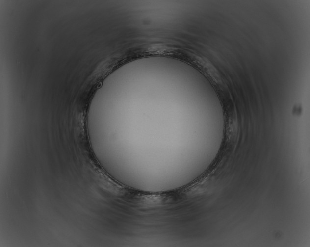 X0000089660473200707191653