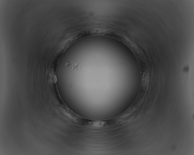 X0000089660474200707191653