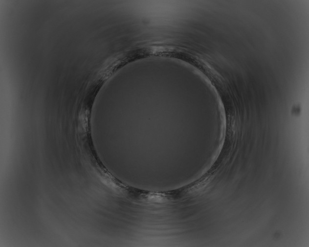 X0000089660475200707191653