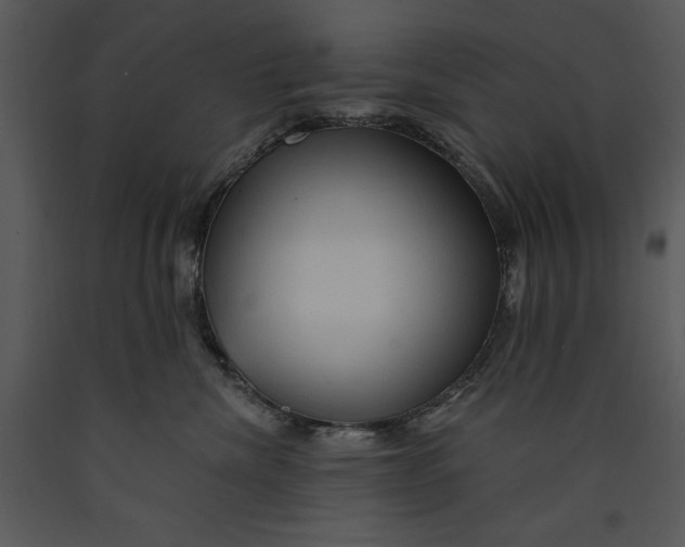 X0000089660476200707191653