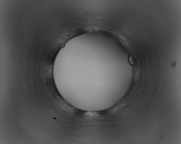 X0000089660477200707191653