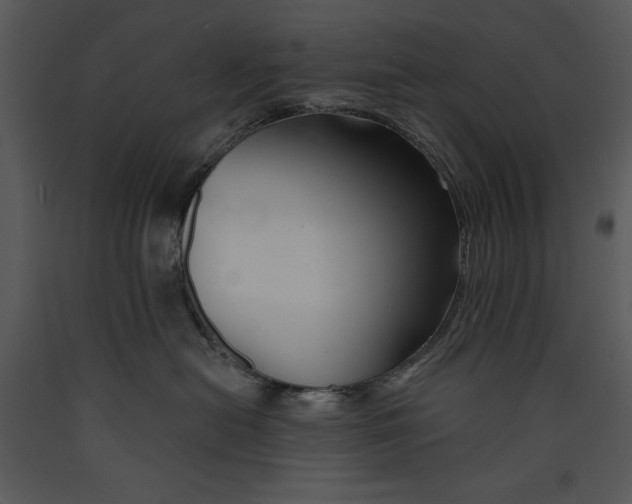 X0000089660478200707191653