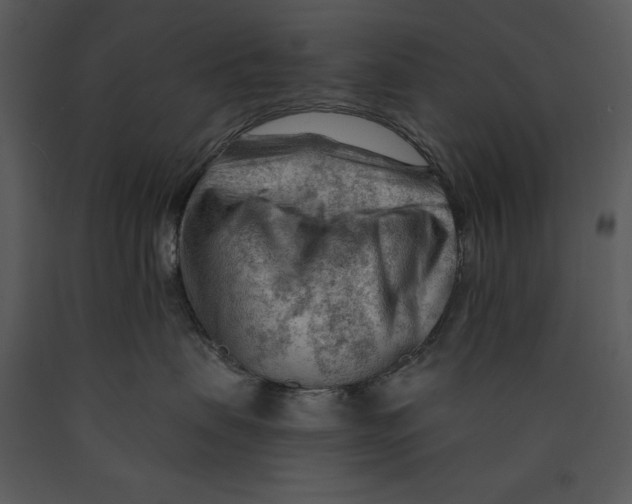 X0000089660479200707191653