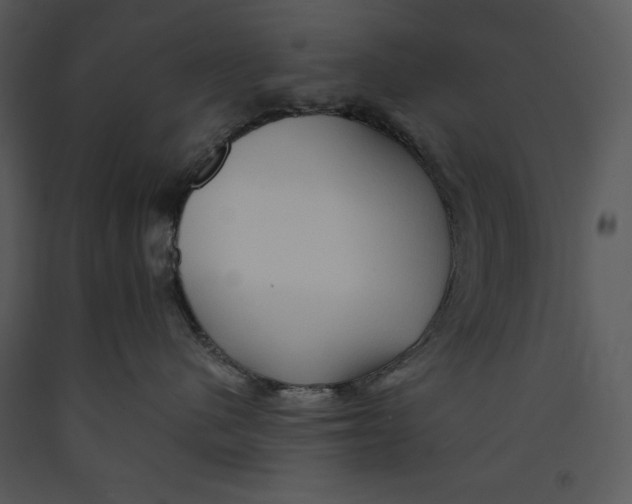 X0000089660480200707191653
