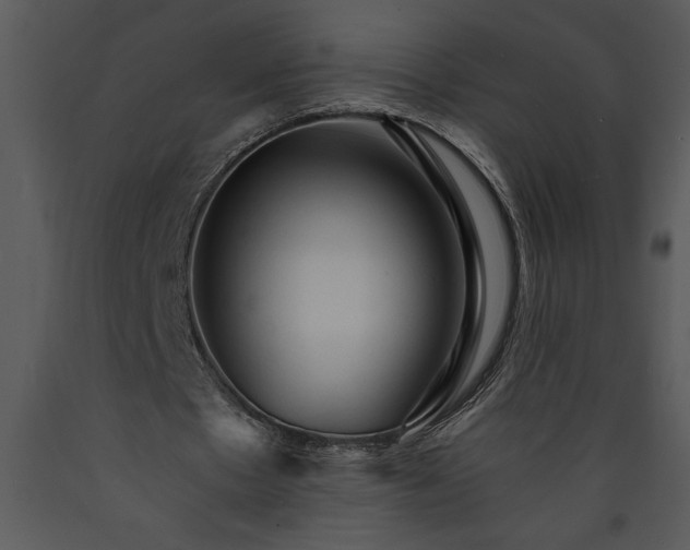 X0000089660481200707191652