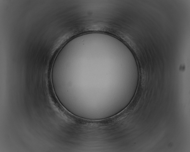 X0000089660482200707191652