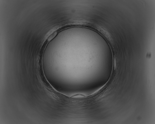 X0000089660483200707191652