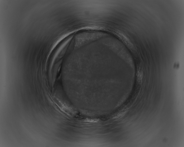 X0000089660484200707191652