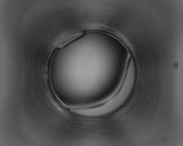 X0000089660485200707191652