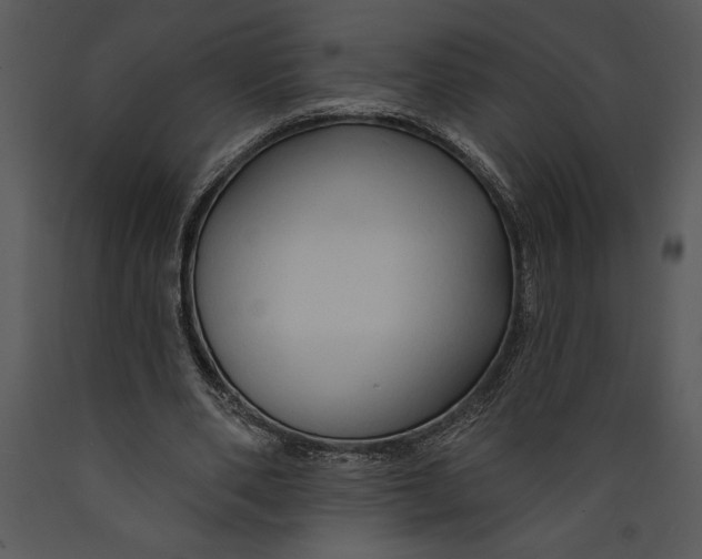 X0000089660486200707191652