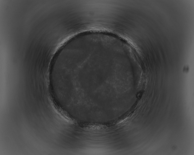 X0000089660488200707191652