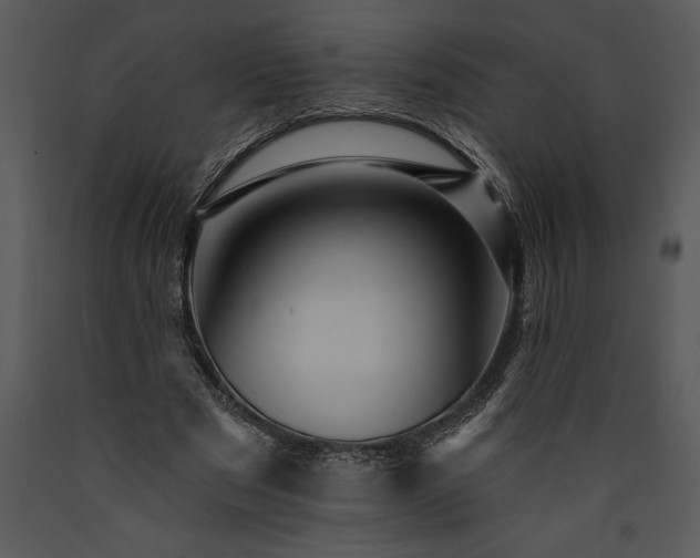 X0000089660489200707191652