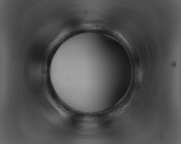 X0000089660490200707191652