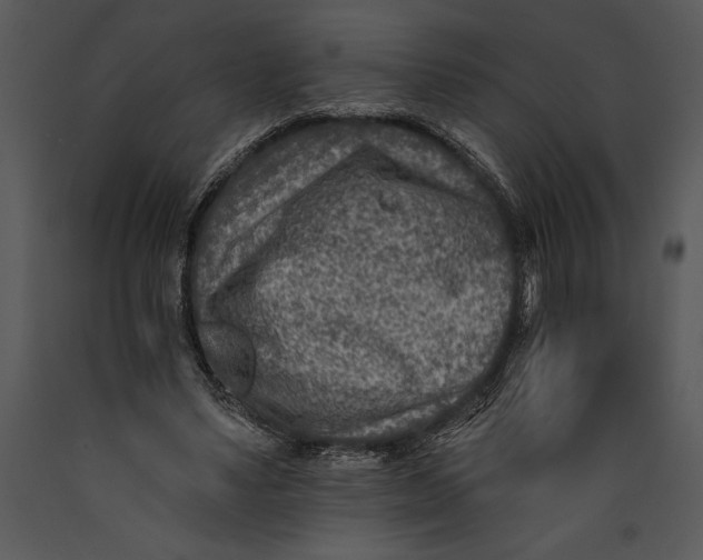 X0000089660491200707191652