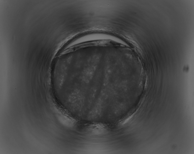 X0000089660492200707191652
