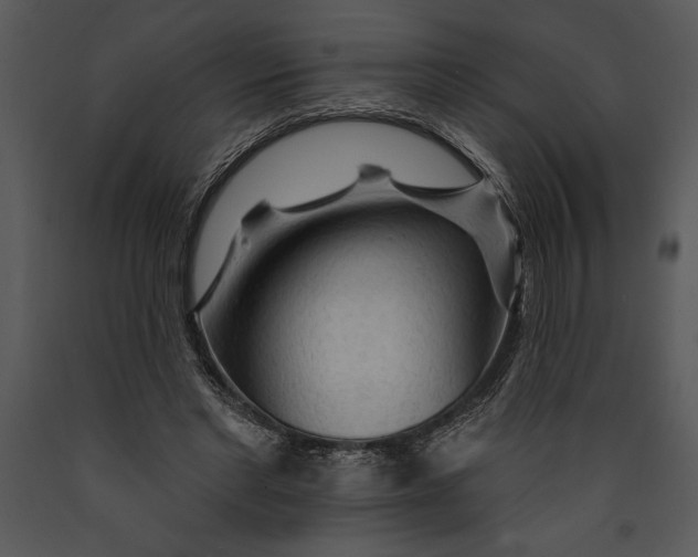 X0000089660493200707191652