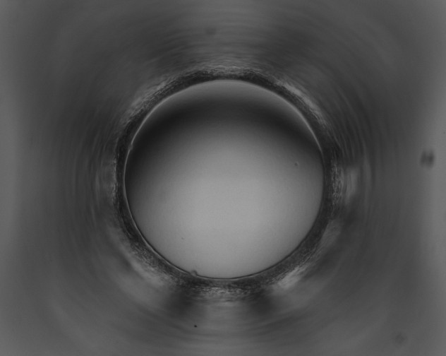 X0000089660494200707191652